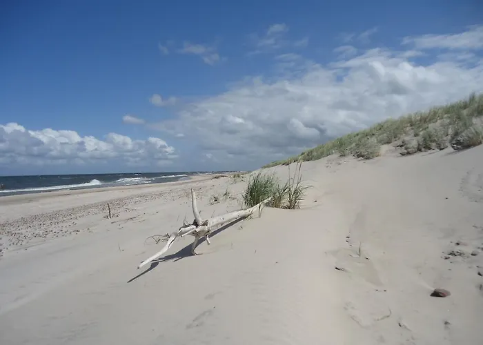 Apartment Apartament 20