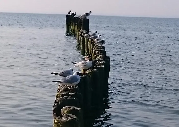 Apartament 20 Dziwnowek